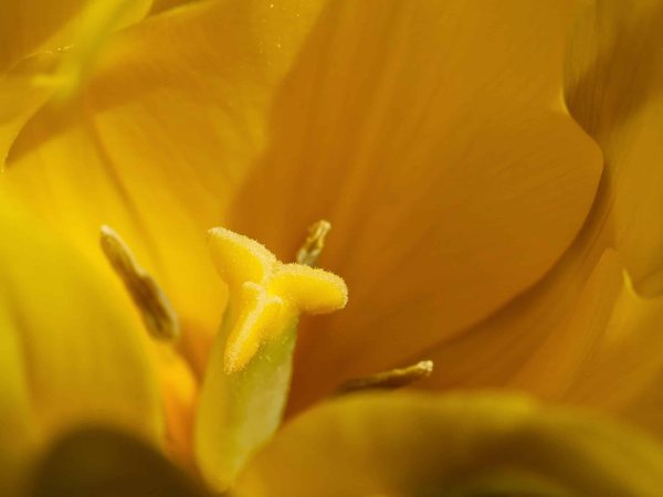 Artisanat local et locations : une immersion culturelle