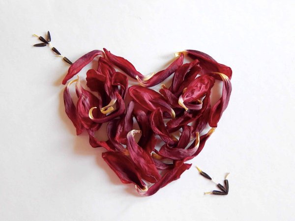 Escapades romantiques : locations intimes pour couples