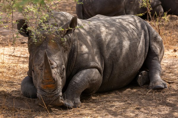 Voyage au Sénégal : d'émerveillement en émerveillement